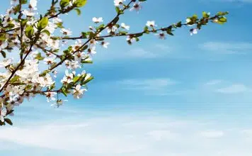 Où partir pour 500 euros tout compris ?